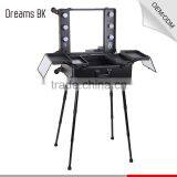 Wholesale Case Type and PVC Material Makeup Artist Trolley Beauty Case With Mirror