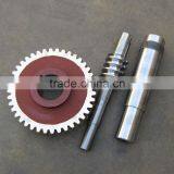 OEM Worm gear and worm wheel for dealers