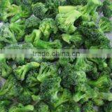 Fresh IQF Broccoli thumbnail-1
