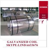 Prepainted Zinc Coated Hot Dip Galvanized Steel Coils