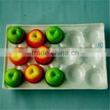NEW Fruit Disposable Plastic Container
