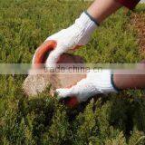 Qingdao YSD Plastic Rubber Co., Ltd. company overview - view 3 thumbnail