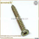 Zinc White Zinc Yellow Small Head Torx Recess Concrete Screw thumbnail-2