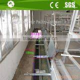 3 Tier A Type Ladder Chicken Cages for Layers With pp Belt Manure Removal System thumbnail-3