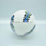 Soccer Ball 2016 and Best Size 5 Footballs thumbnail-5