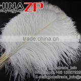 CHINAZP Factory Wholesale 14inch to 16inch Dyed Royal White Ostrich Fethers for Sale thumbnail-2