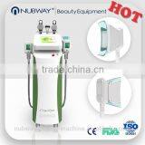 Leading Technology Non-surgical Weight Loss Treatment ce Approved Cryolipolysis Price thumbnail-2