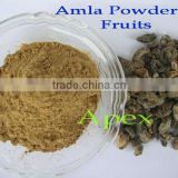 Supplier of Amla dry Fruit & Amla Powder
