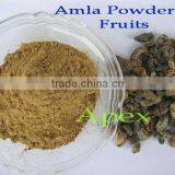 Supplier of Amla Dry Fruit & Amla Powder