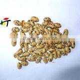 Good Quality- SEAWEED PEANUTS thumbnail-1