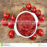 Different Tomato Paste thumbnail-3