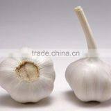 No Root/Clean Skin Wholesale Chinese Garlic thumbnail-1