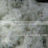 Surgical Cotton thumbnail-1