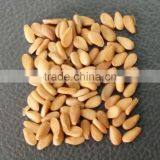 Top Quality Yellow Sesame Seeds thumbnail-1