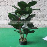 High Imitation Artificial Ficus Elastic Plant thumbnail-4