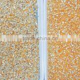 2017 New Version Maize Color Selecting Sorter in China thumbnail-2