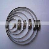 CE Rigging Polished SS304 Stainless Steel 316 Hose Clamps for Pipeline thumbnail-2