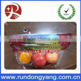 Stand up Pouch Zipper Fruit Packing Bag With Air Holes and Handle thumbnail-3