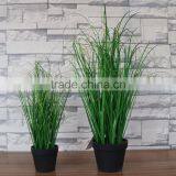 Plastic Couch Grass thumbnail-1