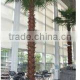 Shengjie 2015 SJH44152 Large Artificial Palm Trees for Hotel,shopping Mall Decoration thumbnail-3