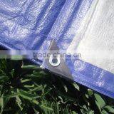 Blue Poly Tarp Hdpe Fabric thumbnail-6