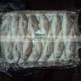 Frozen Silver Croaker thumbnail-5