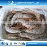 China Seafood New Season Raw Shrimp thumbnail-1