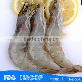 HL002 Hot Sale Penaeus Vannamei Shrimp thumbnail-2