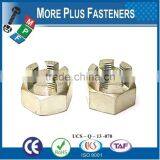 Made in Taiwan Fine Thread Stainless Steel Grizzly Claw Brass Fine Thread Zinc Castle Nut thumbnail-6