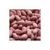 Greek Peanuts Kernels