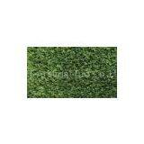 Residential Artificial Turf