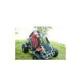 Go Kart/Go cart/Buggy/Dune buggy