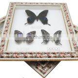 Wall Pedant Mural Butterfly Frame for Gifts thumbnail-6