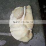 Cooked Tripe thumbnail-1