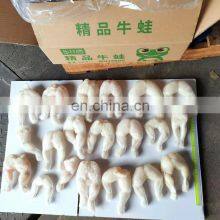 China Wholesale Skinless Frozen Bull Frog Legs Frozen Frogs for Sale thumbnail-2