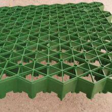 5cm7cm Flower Mouth Flat Mouth Grass Green Parking Lot Fire Lane Roof Garden Grass Planting Grid thumbnail-2