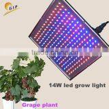 Decorative Plants Led Grow Light for Flower Boost and Seed Sprout Greenhouse Light