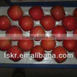 Fruits and Vegetables Apple Fuji thumbnail-1