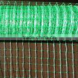 100% pp Plastic Grass Growing Net/Turf Growing Net thumbnail-4
