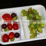 Biodegradable Recyclable Custom Waterproof Protective Packaging Food Tray thumbnail-1