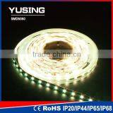 30 LEDs/Meter DC 12V/24V 5050 SMD Underwater LED Light Strip