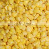 Price of Iqf Fresh Frozen Sweet Corn