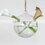 Borosilicate mouth blown glass vase for home decoration