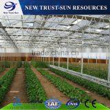 The High Quality Multi-span PC Sheet Tomato Greenhouse thumbnail-2