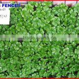 2013 Factory Fence Top 1 Chain Link Fence Hedge Welded Fence
