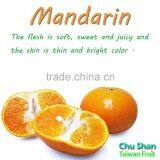 2016 Taiwan Fresh Sweet Mandarin Orange Citrus Fruit thumbnail-5