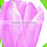 Oxford Fabric thumbnail-3