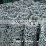 Electro Galvanized Barbed Wire Price thumbnail-6