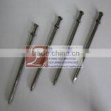 Hot Dipped Galvanized Double Head Nail for Barizl thumbnail-1