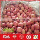 High Quality And Inexpensive Fresh Fuji Apples thumbnail-6
